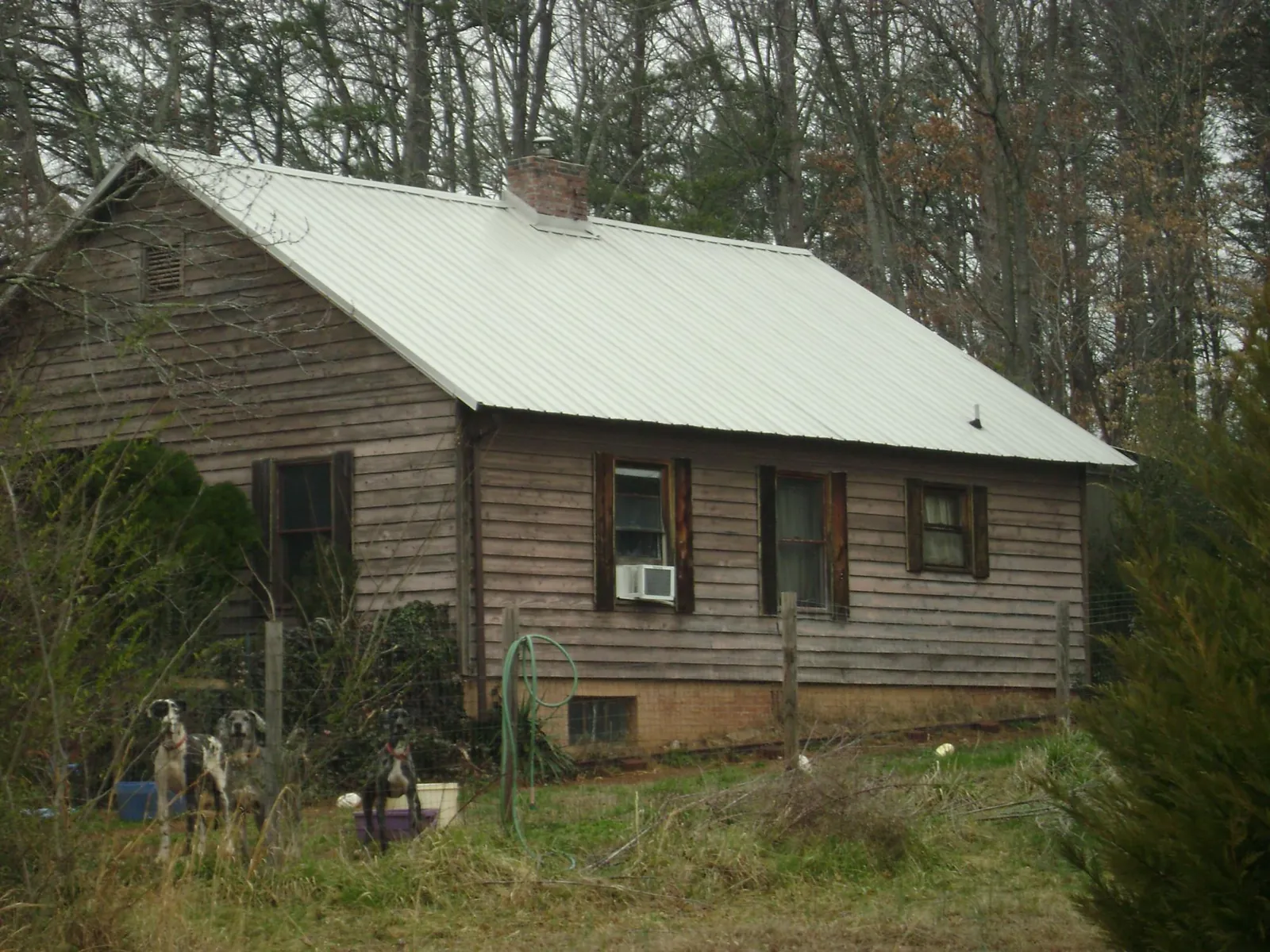 White metal roof on an old wood sided farmhouse, from a Asphalt Shingle Roof Repair job in Bothell